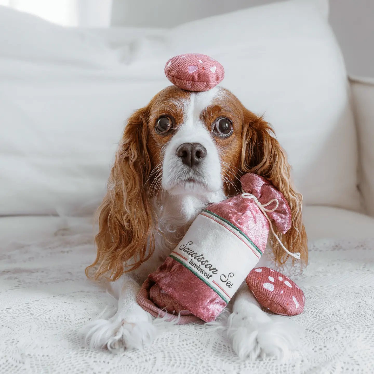 ENRICHING DRY SAUSAGE DOG TOY