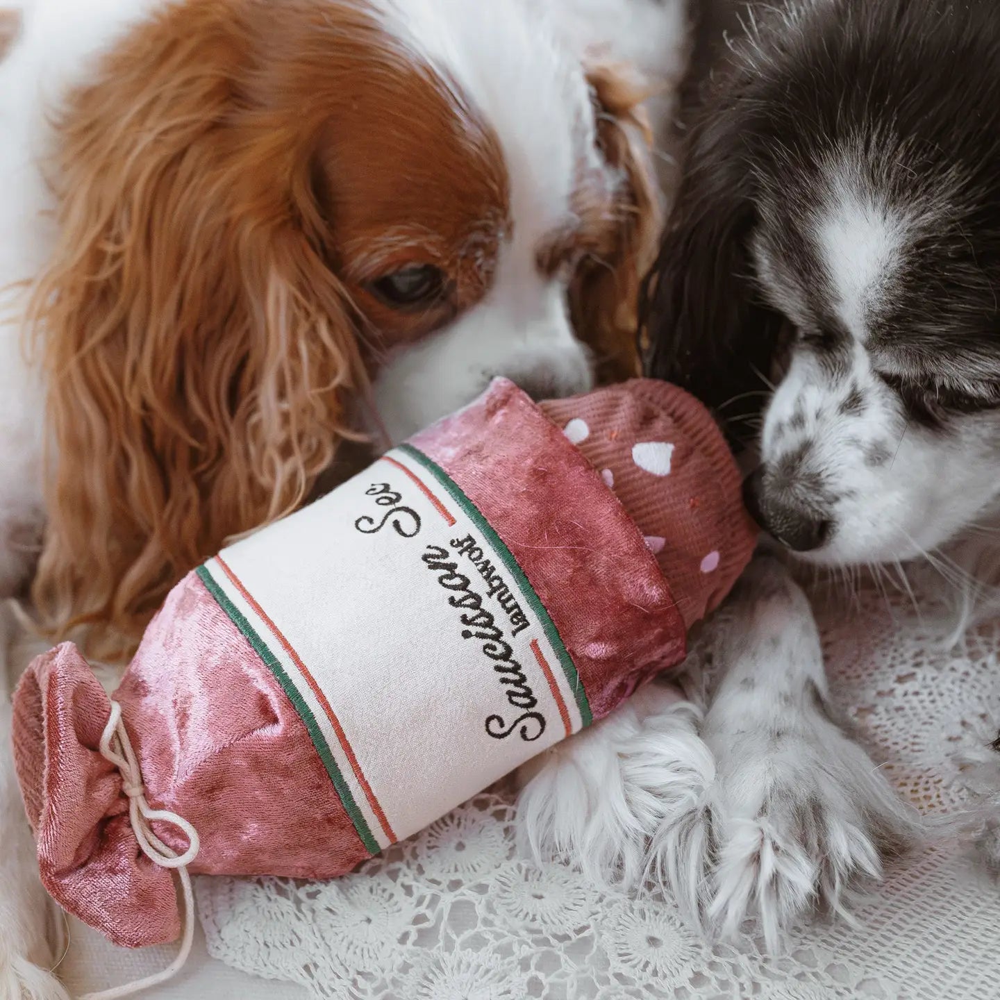 ENRICHING DRY SAUSAGE DOG TOY