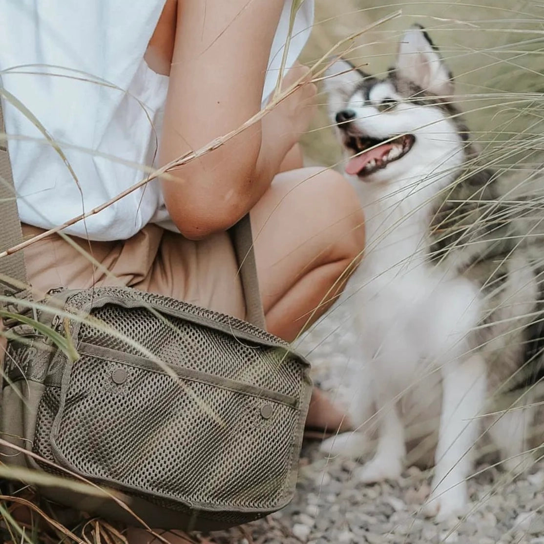 COLLECTION BAG, INTEGRATED POOP BAG DISPENSER